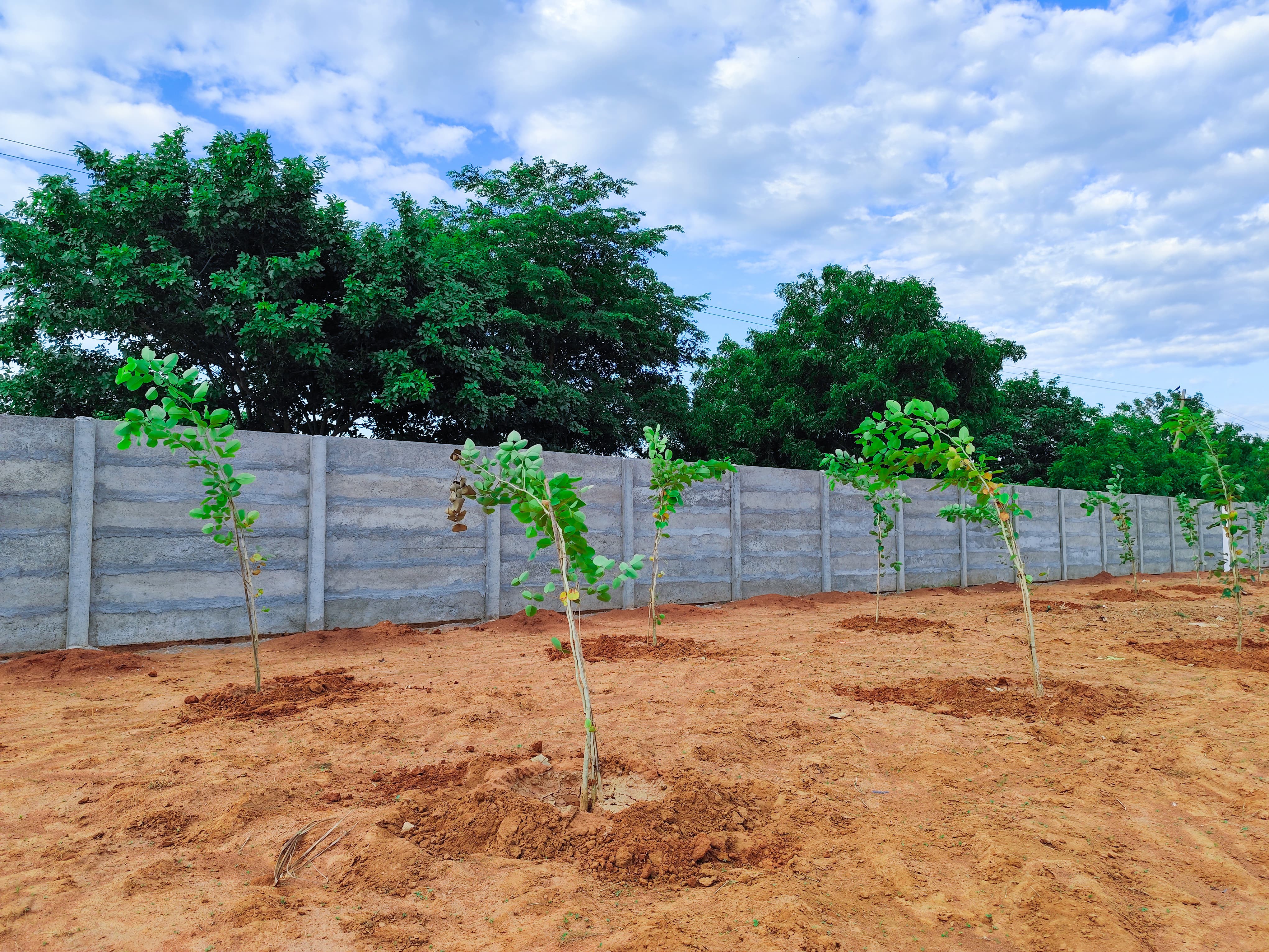 New launching farm land 2