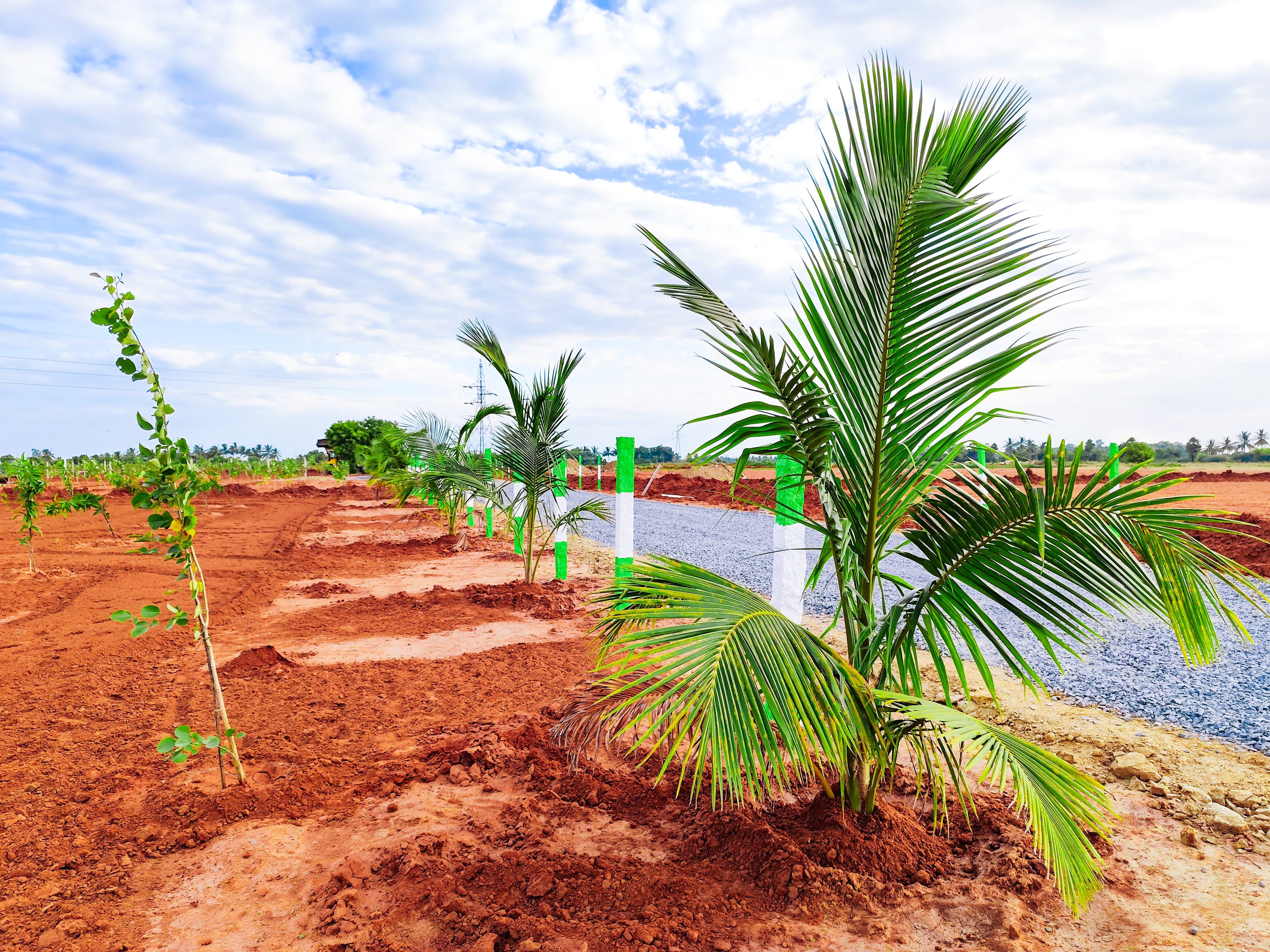 New launching farm land