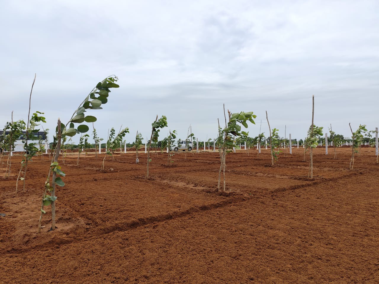 New site launching @ Chengalpattu