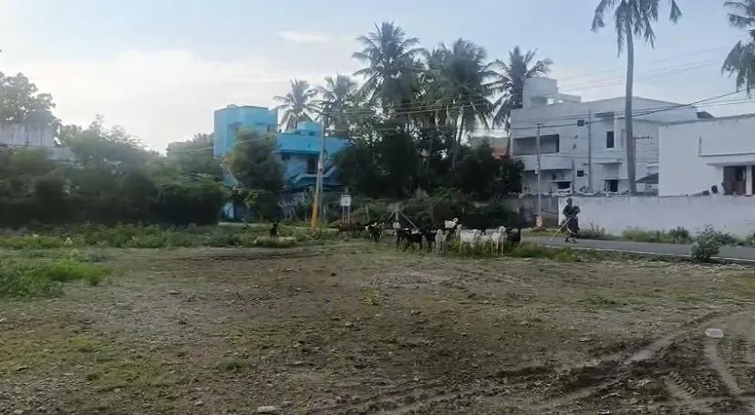 nearby highway within 700 meter