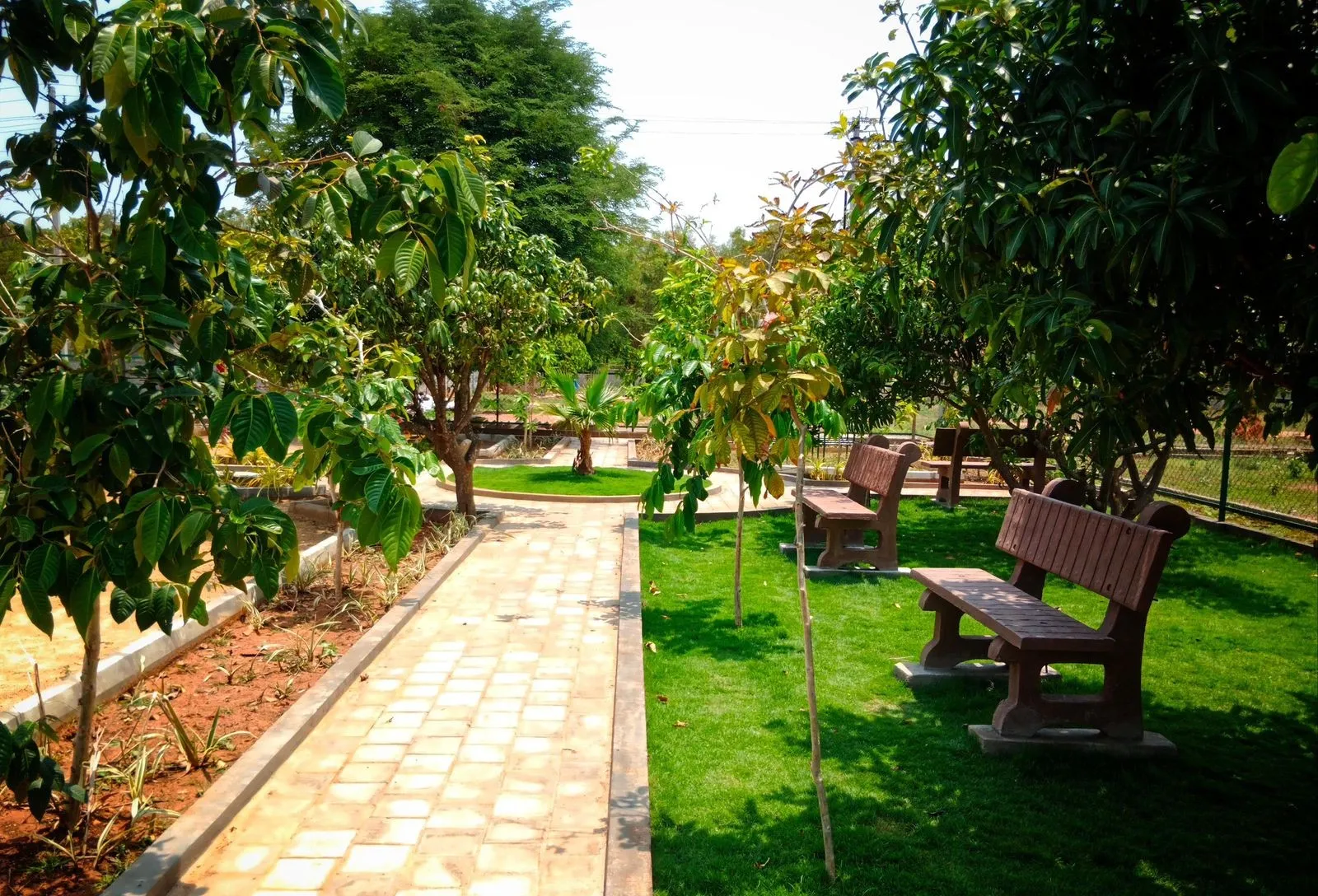 Ready for registration plots near Devanahalli