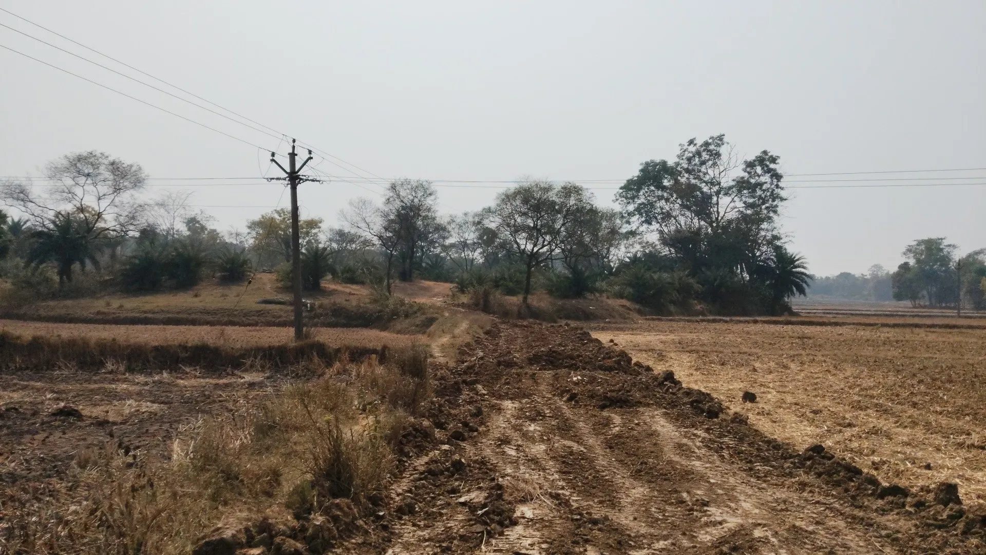 191 disimil plot available with a 12ft front road
