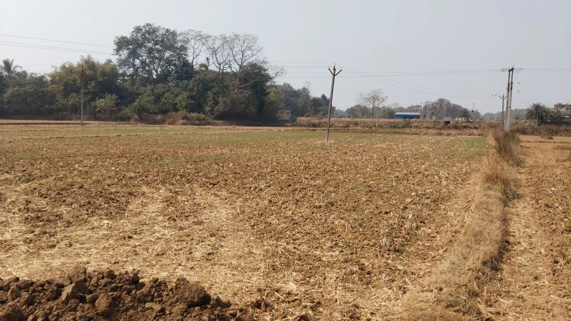 191 disimil plot available with a 12ft front road 2