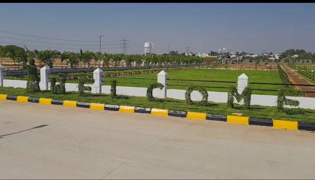 Money Plant Township