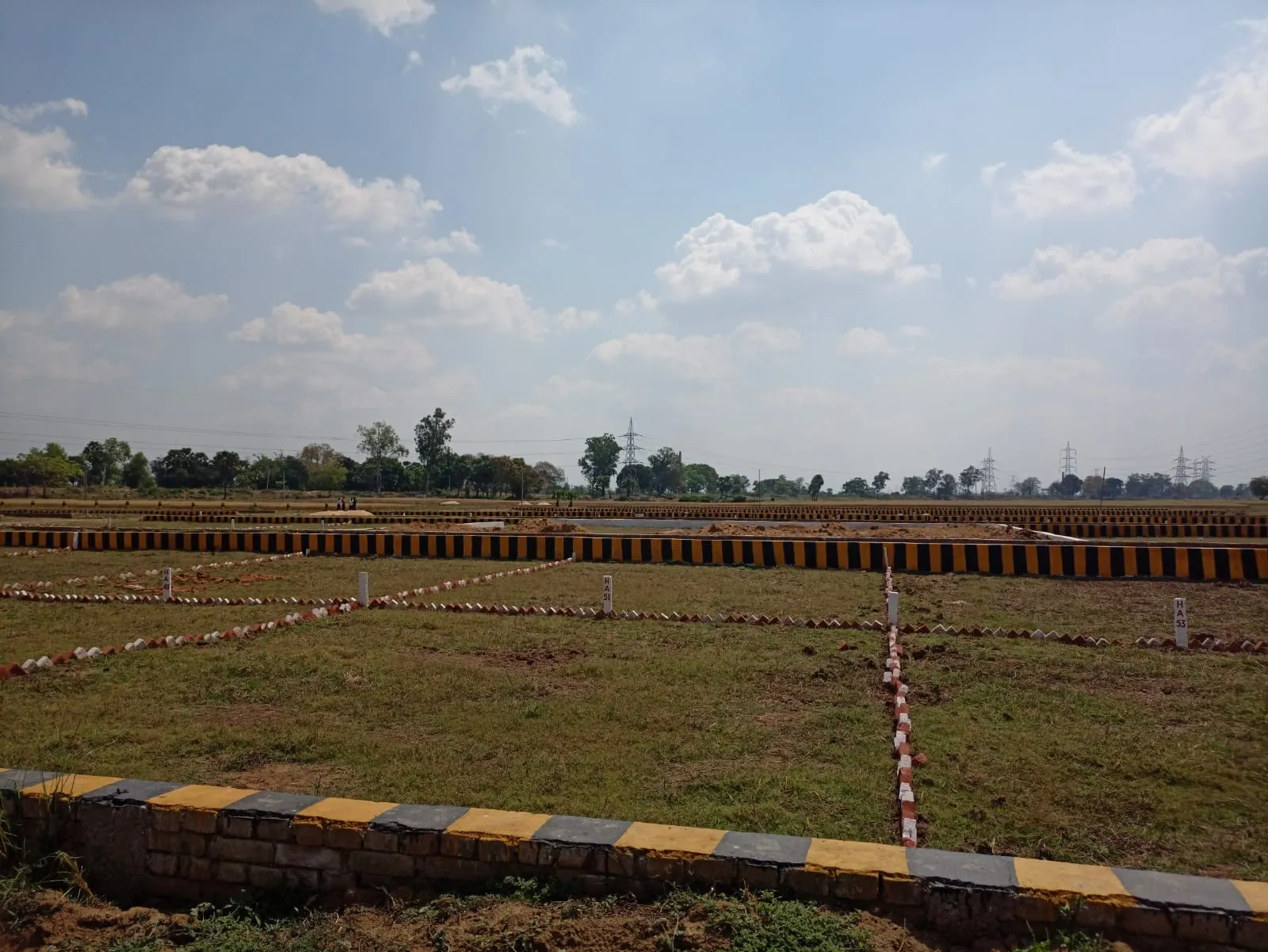 orchard green