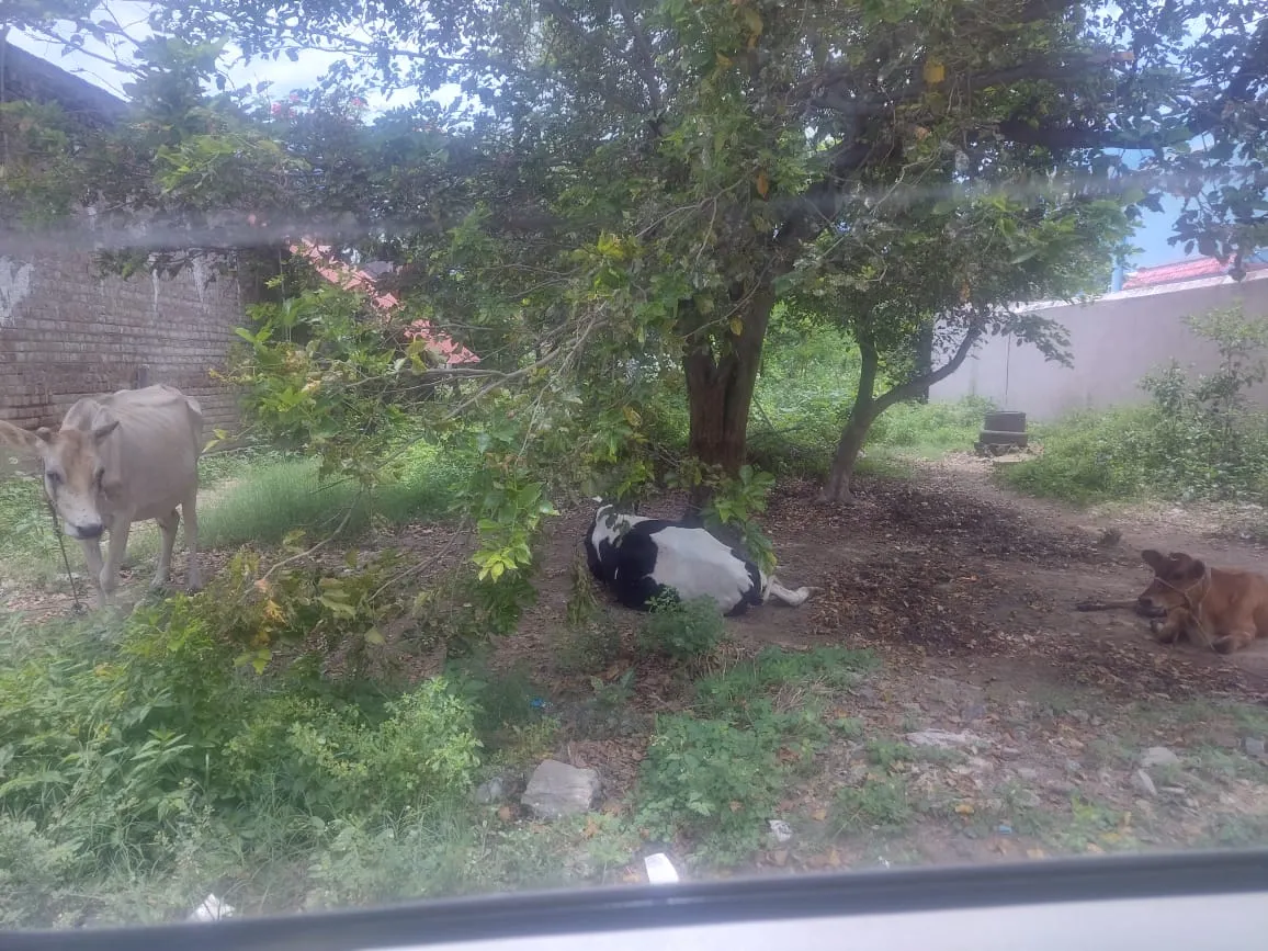 Land in Arni, Tvmalai District