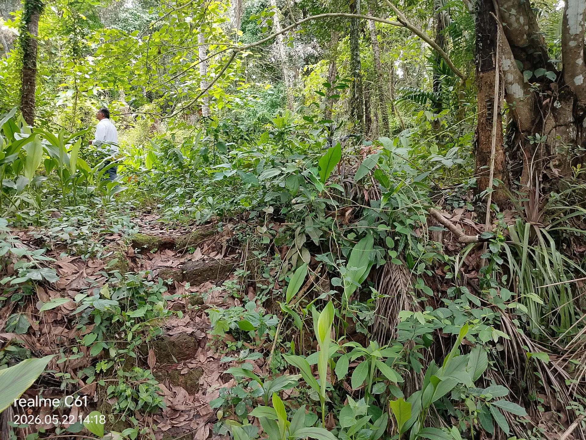 Nasar Koyyod property