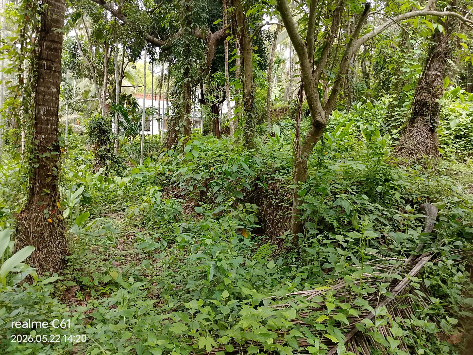 Nasar Koyyod property 3