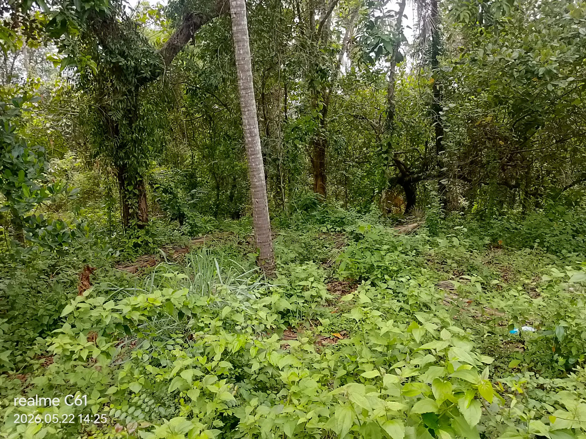 Nasar Koyyod property 2