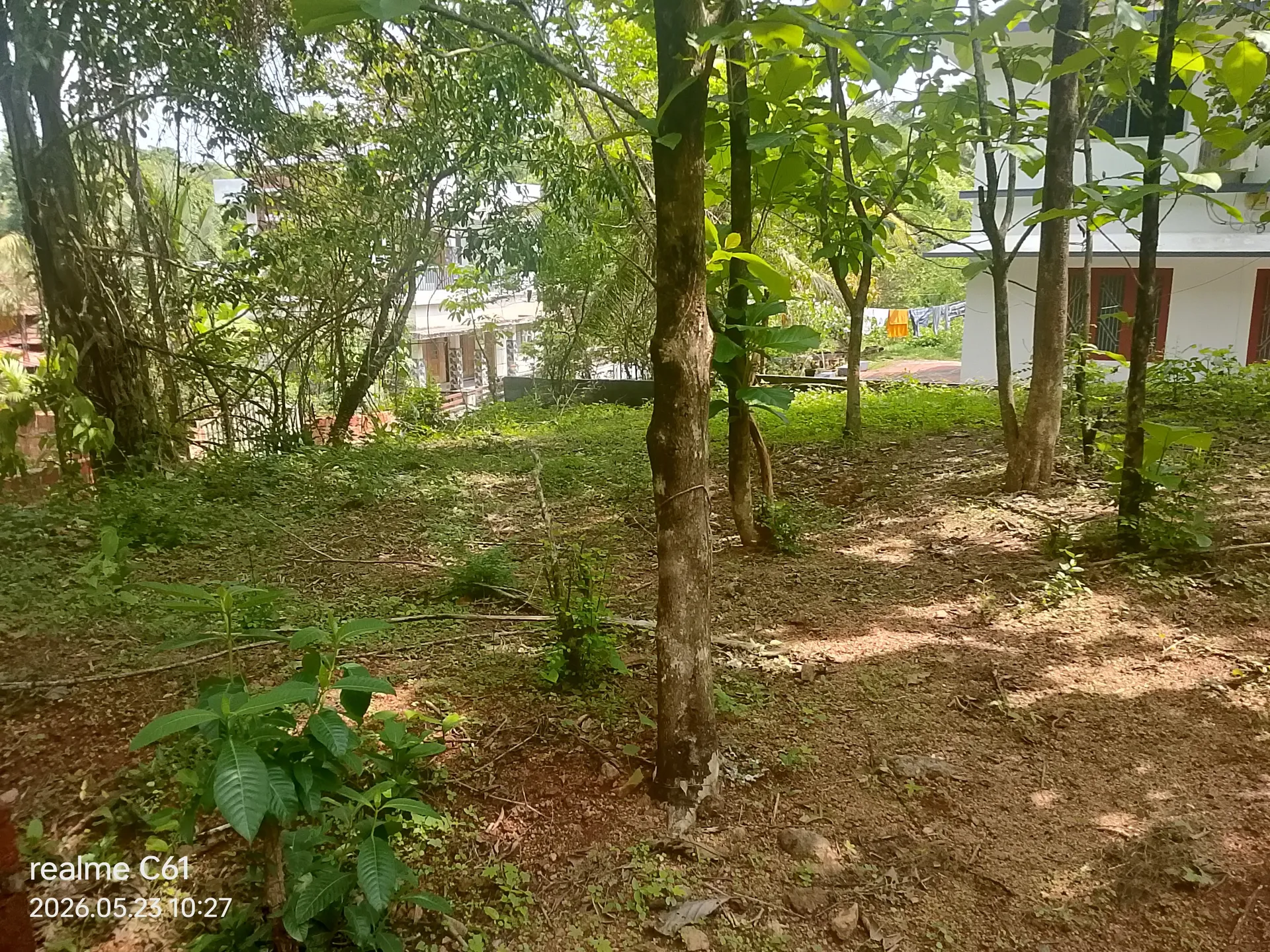Sadanandan property