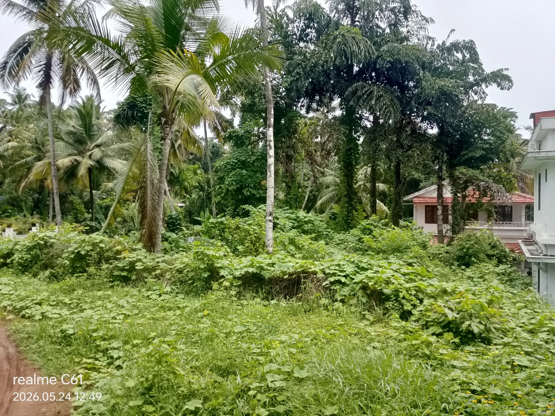 Nowja alavil property