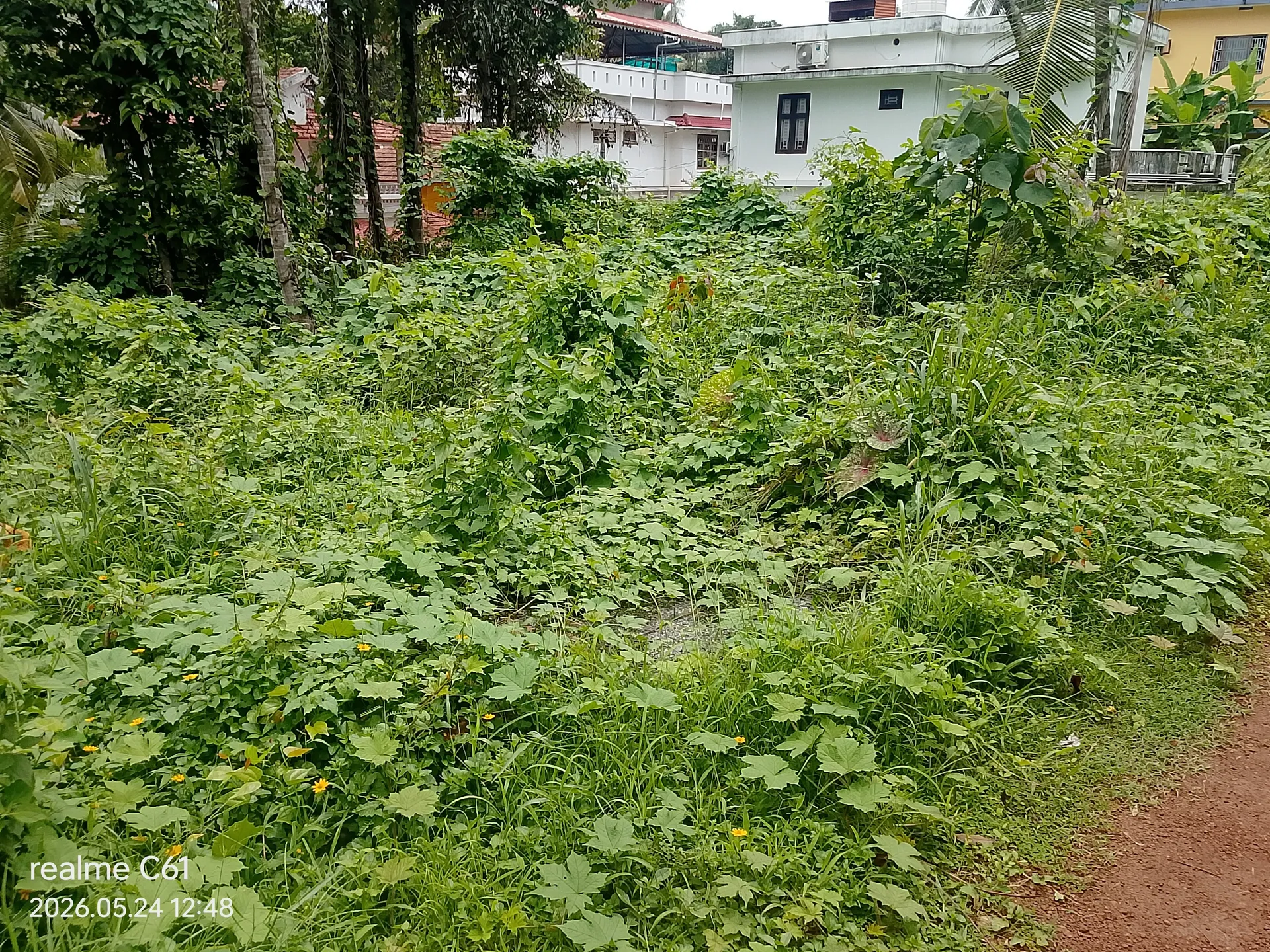 Nowja alavil property 3