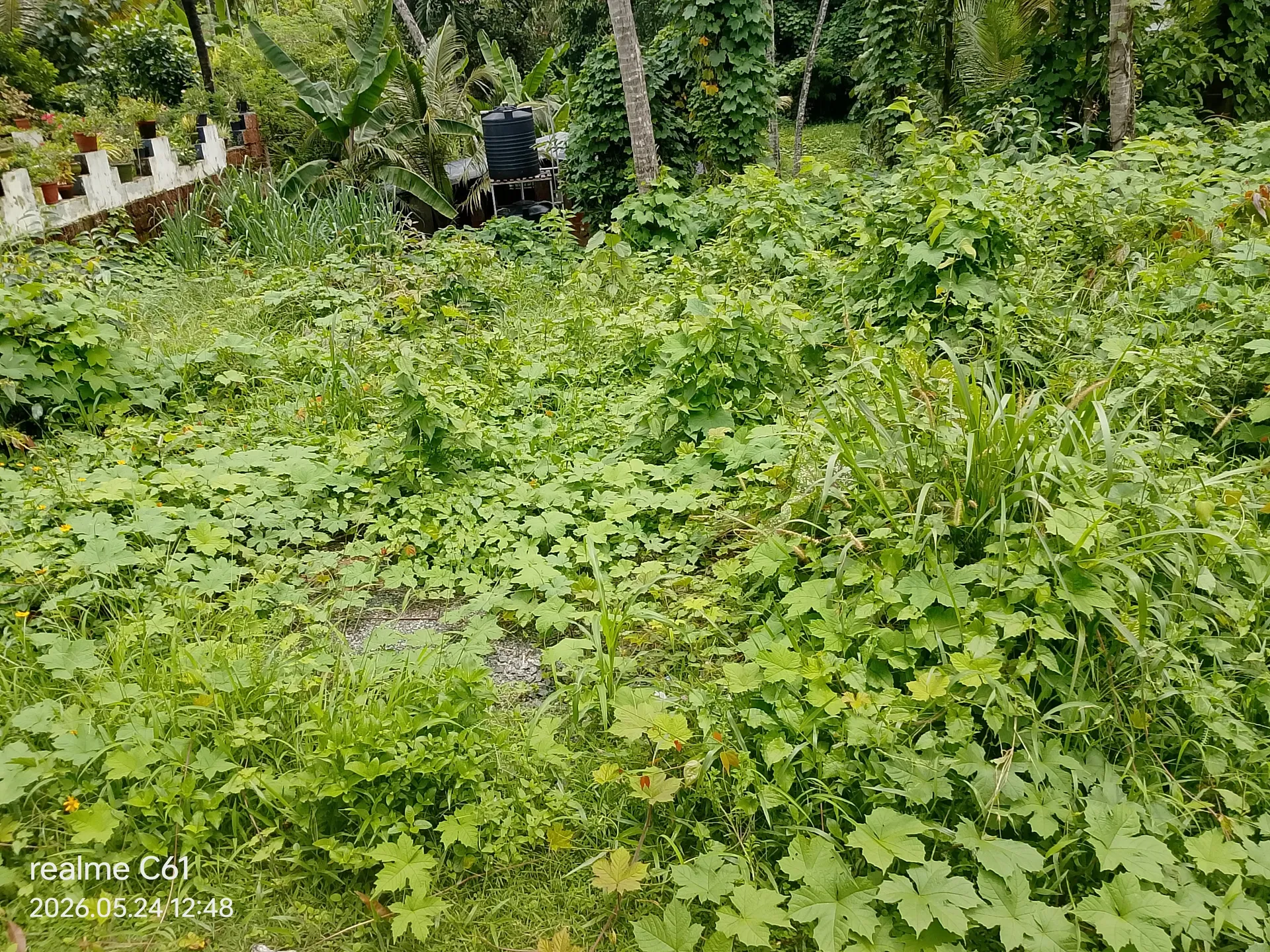 Nowja alavil property 2