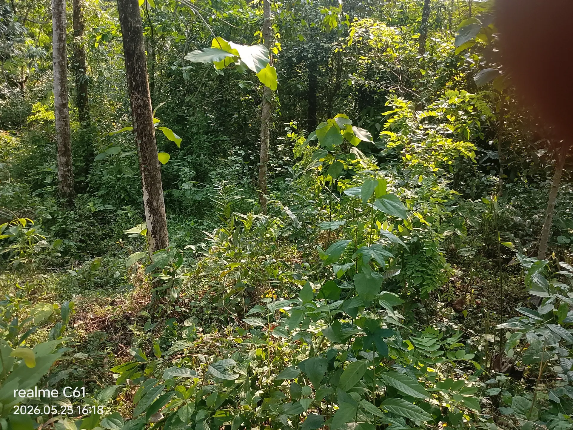 Rajesh property 3