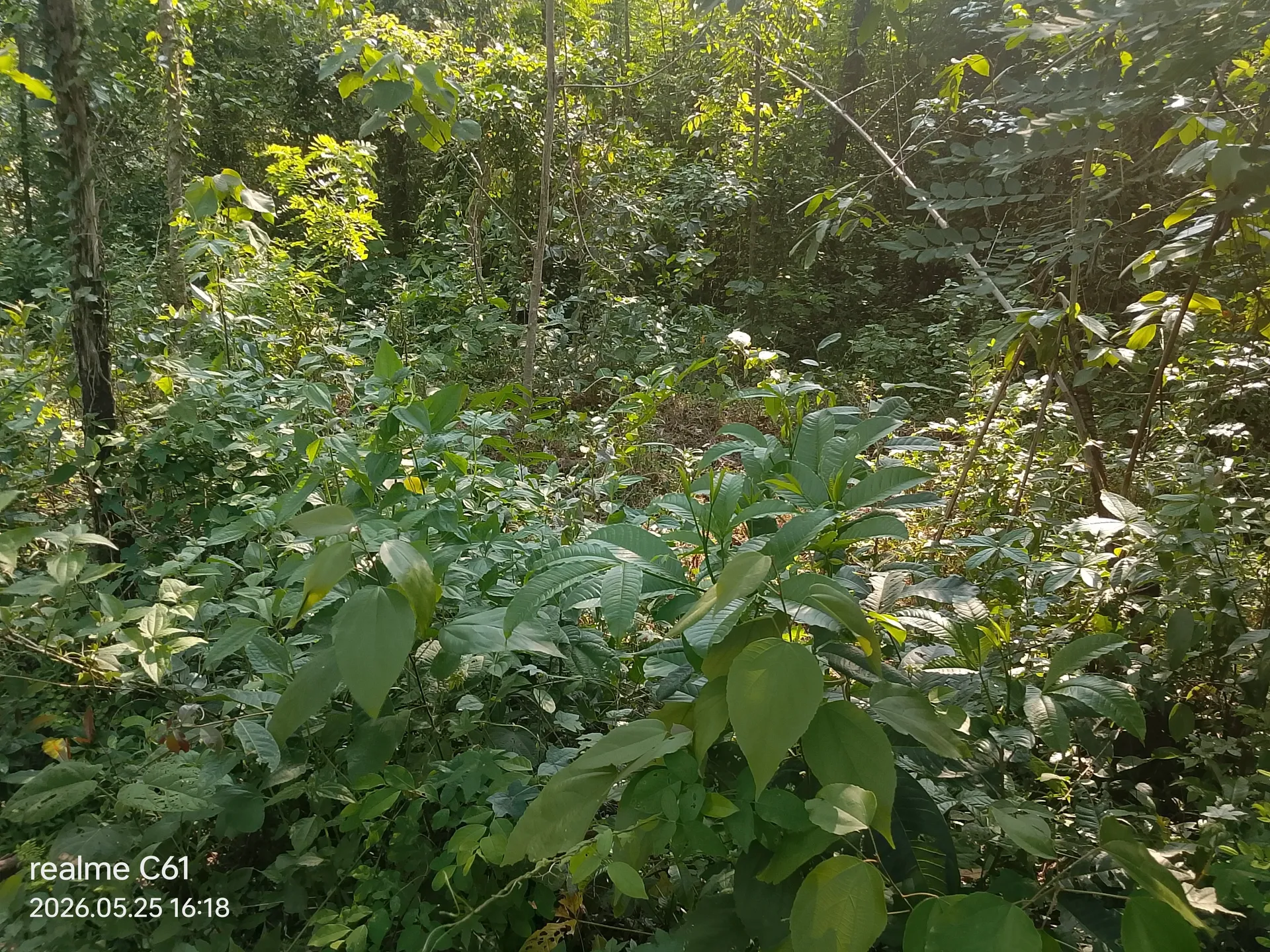 Rajesh property 2