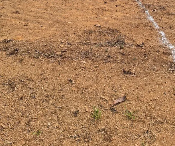 land for sale 3