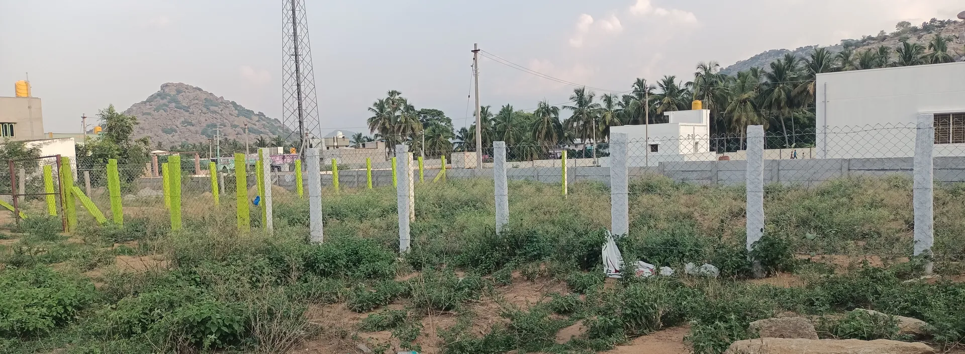 Plot Near 3.5 kms from Krishnagiri Bus stand