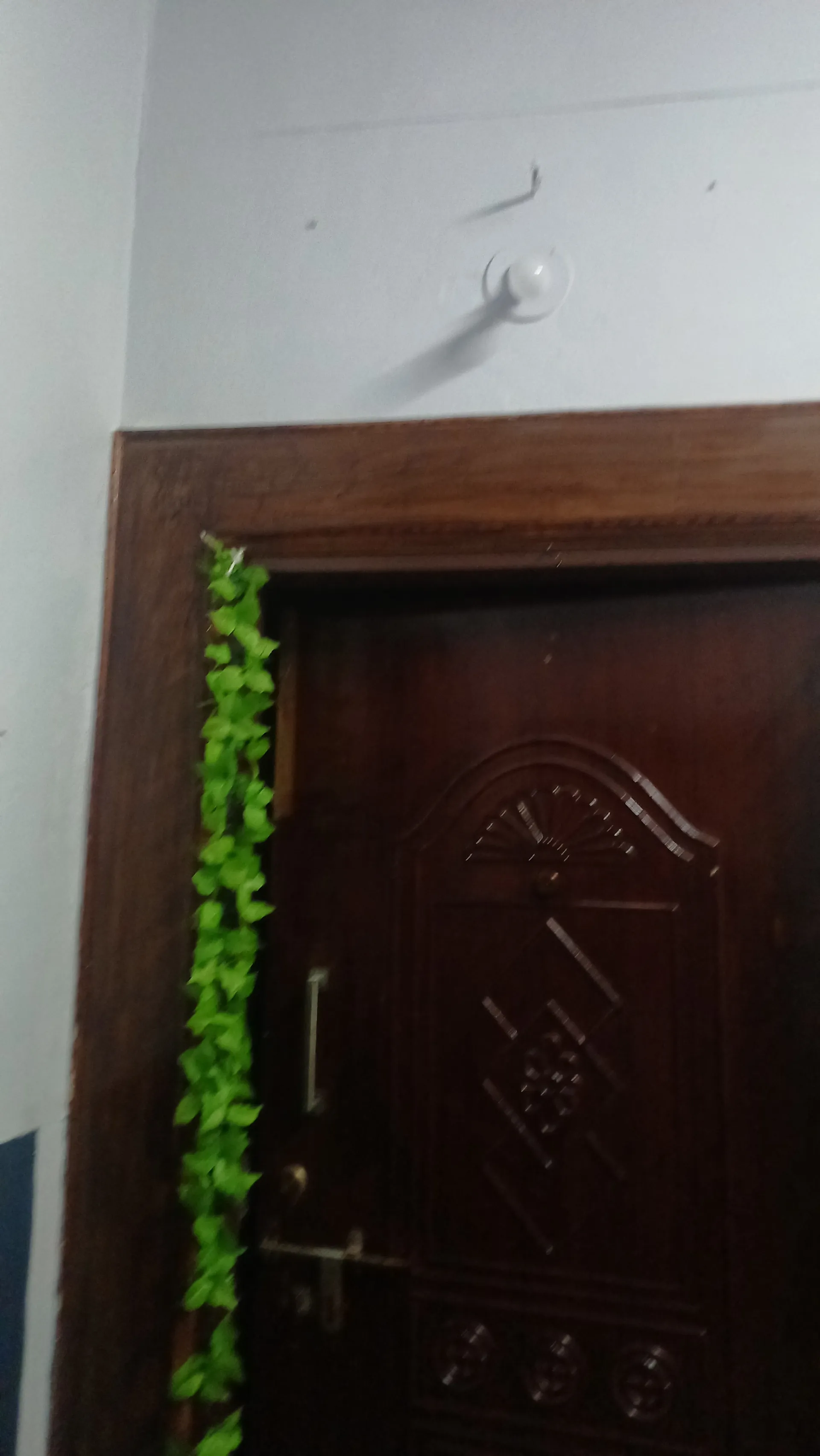 Sneha Recisdency