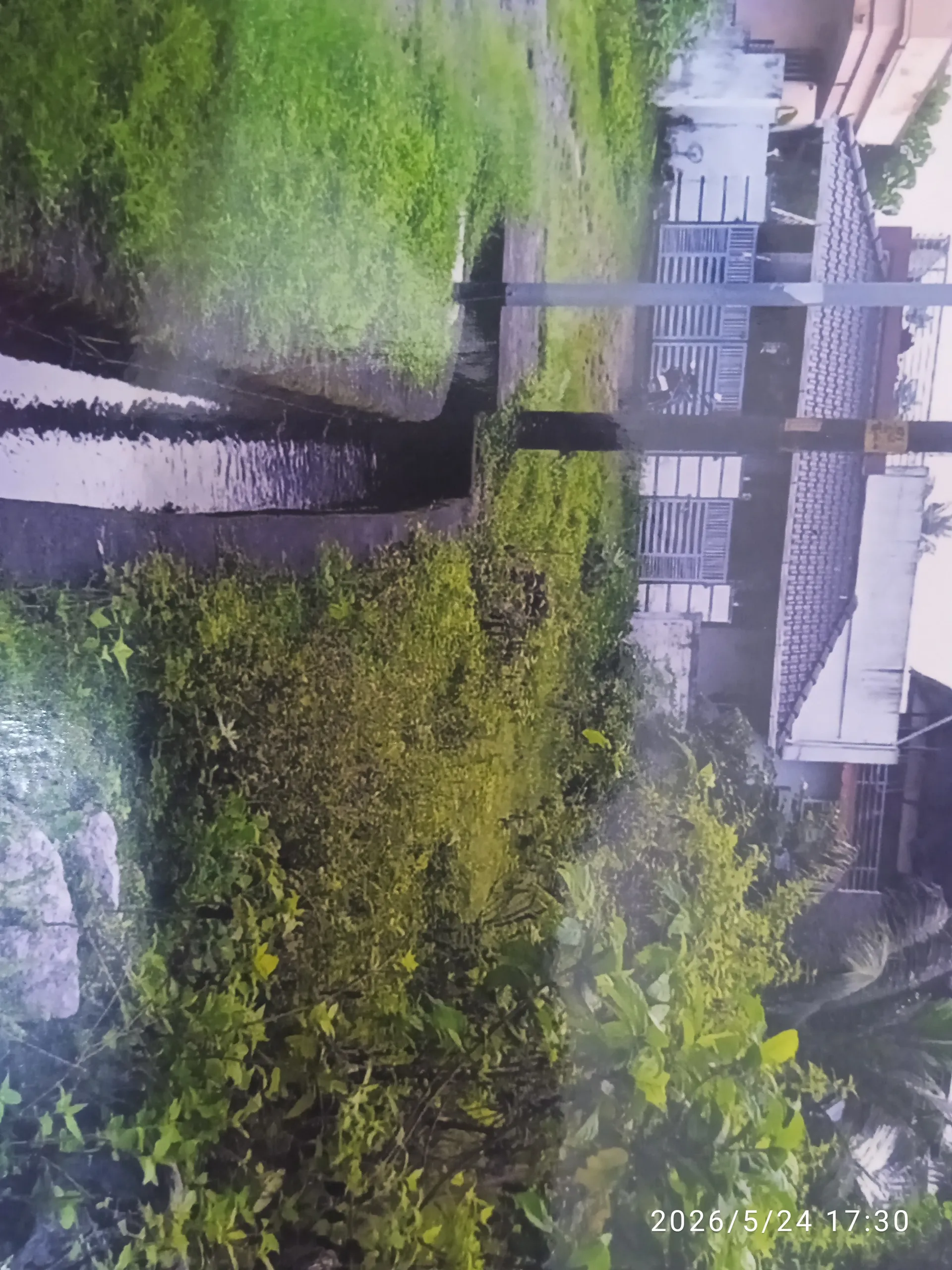 kalapathy plot of sale