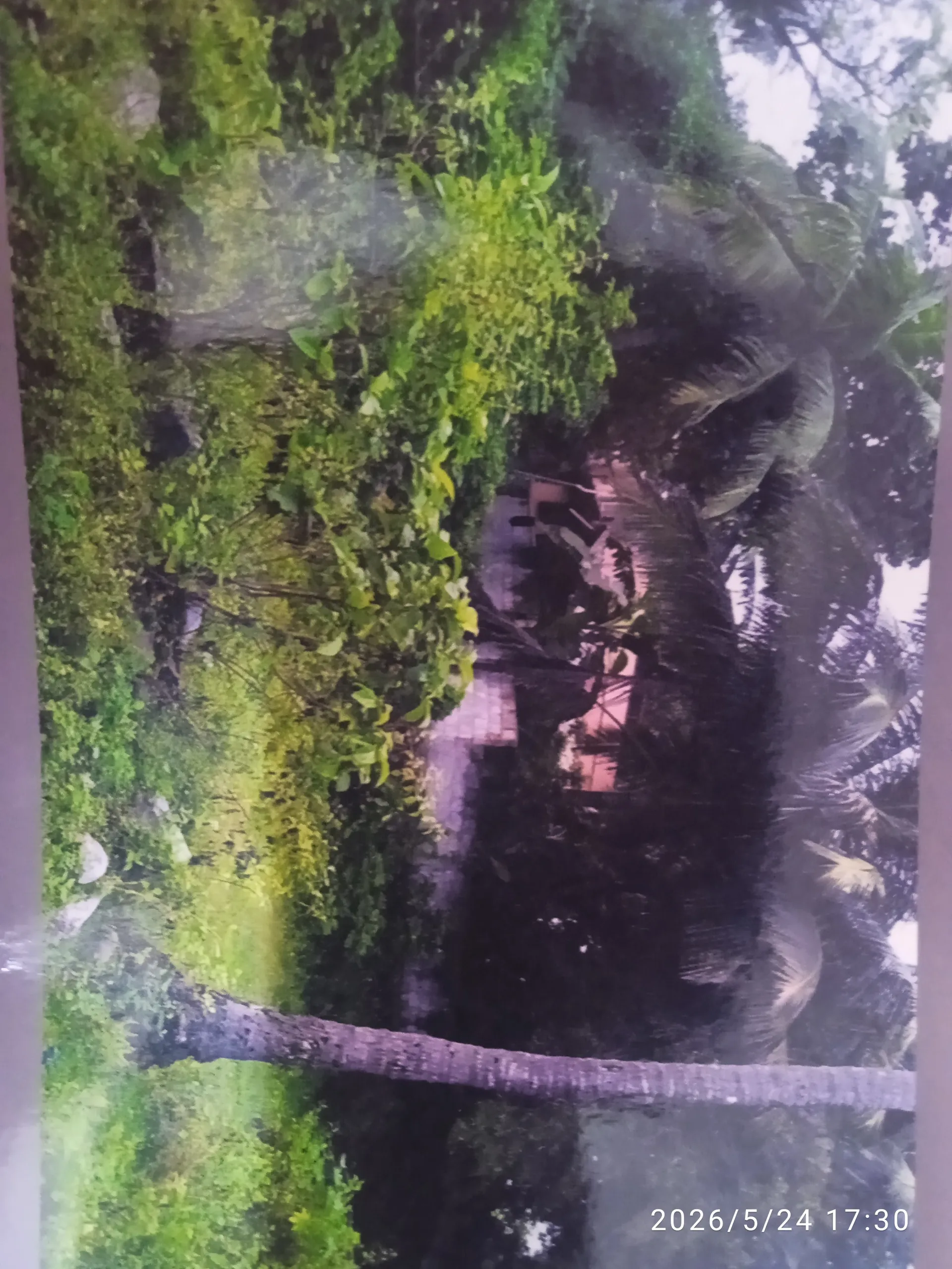 kalapathy plot of sale 2