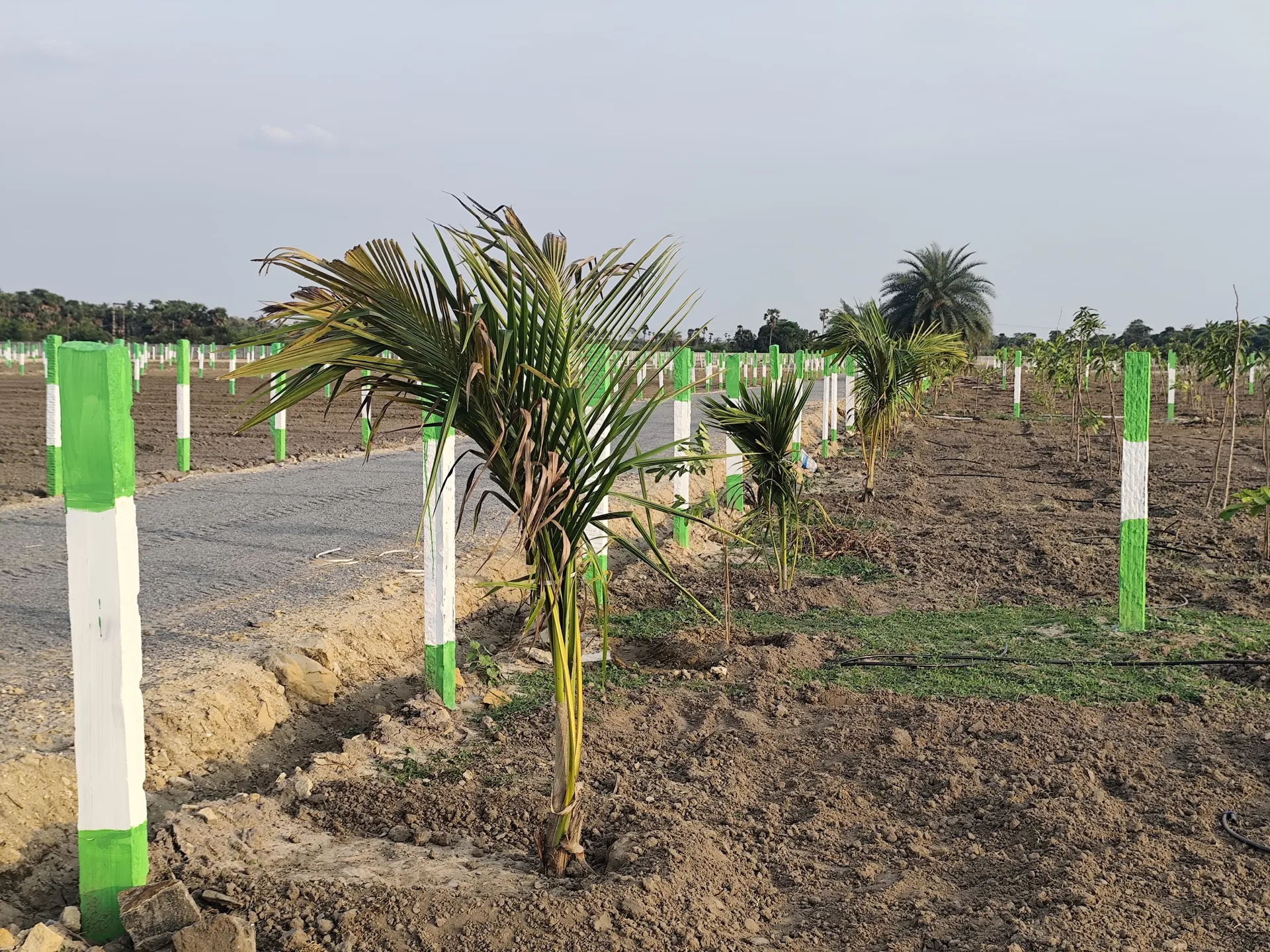 K G Elite Farms