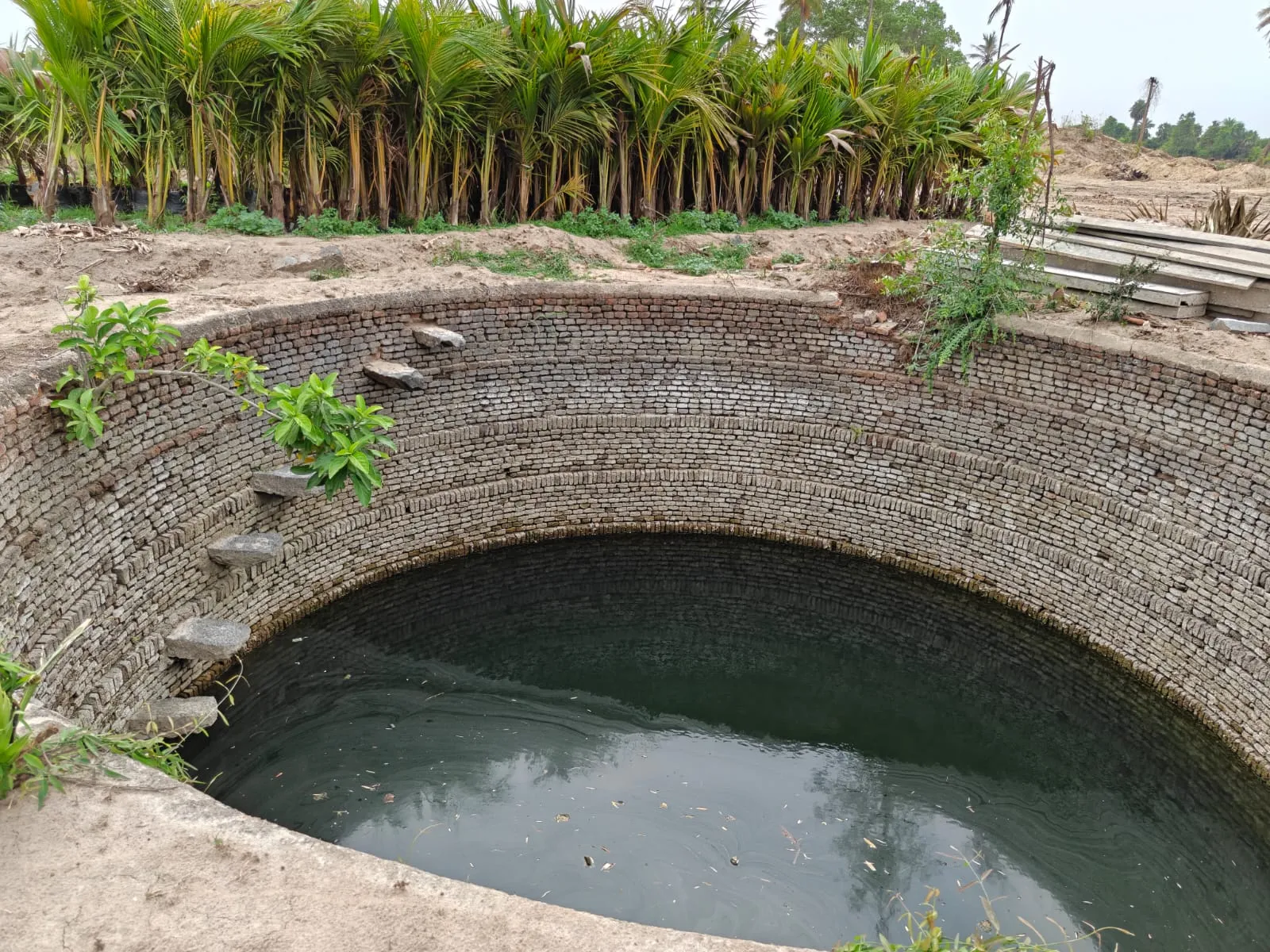 Chengalpattu KG Elite Farmland for Sale - MRV5+92, Malayankulam, Tamil Nadu 2