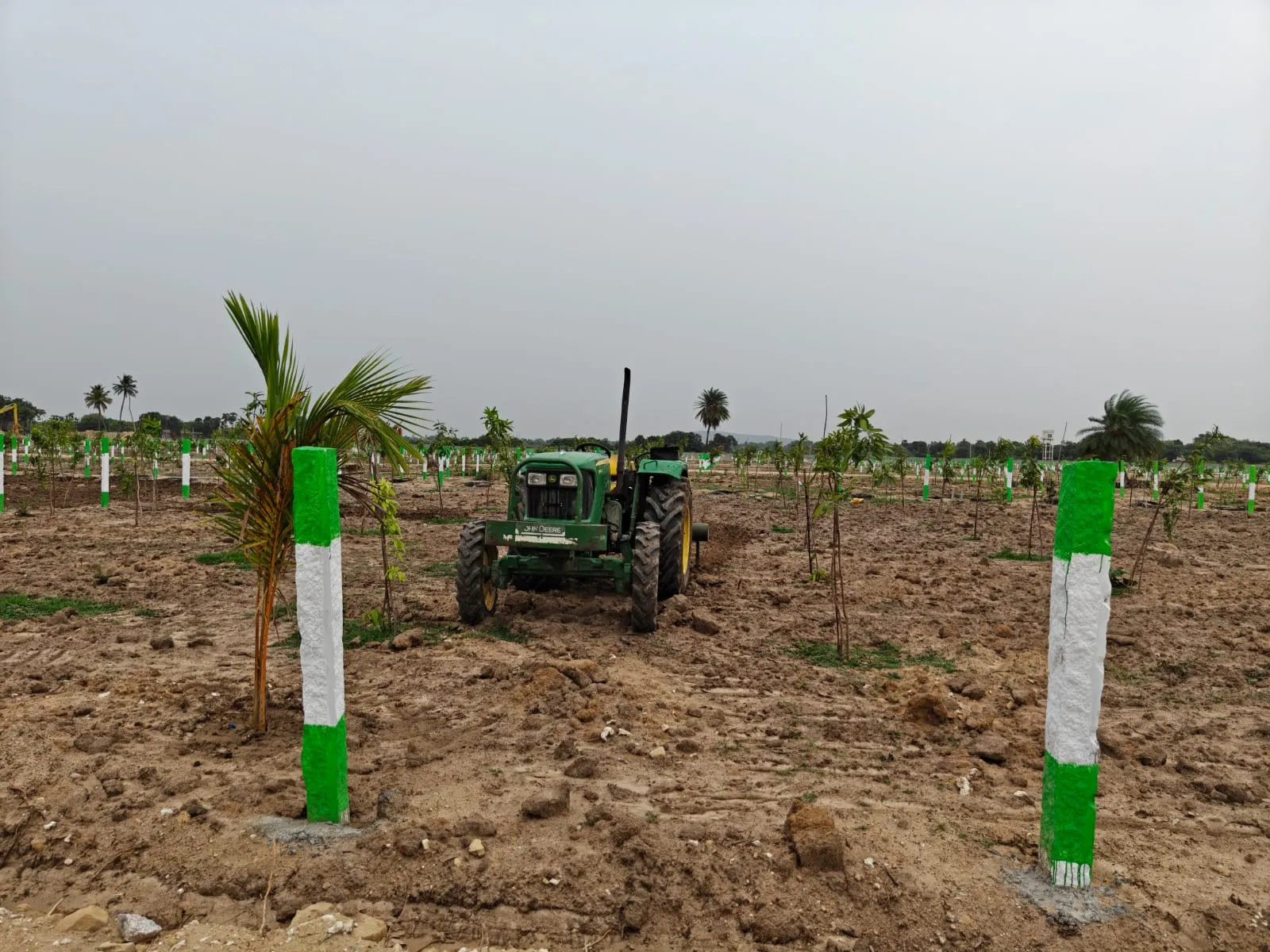 Chengalpattu KG Elite Farmland for Sale - MRV5+92, Malayankulam, Tamil Nadu 3