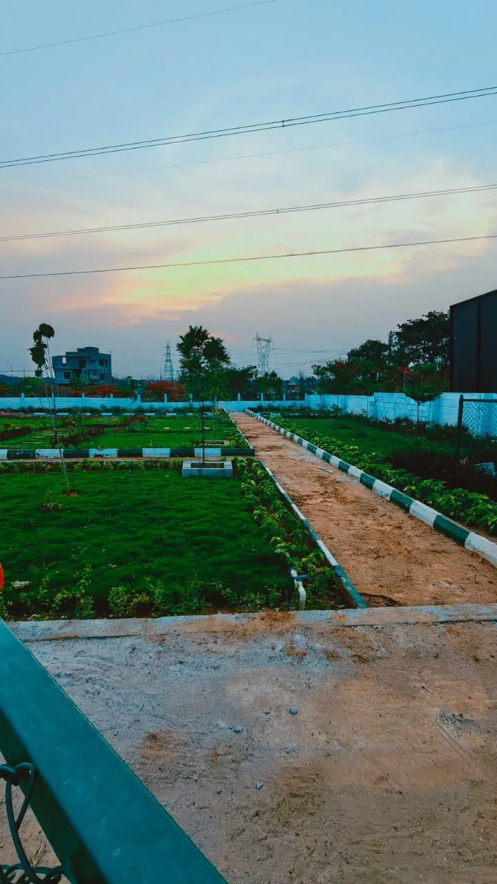 oraiyan neo city 3