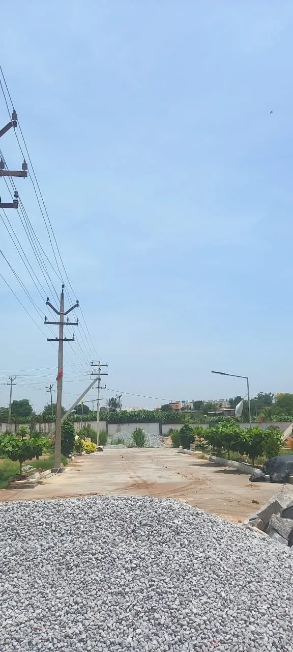 Dheeb City 3