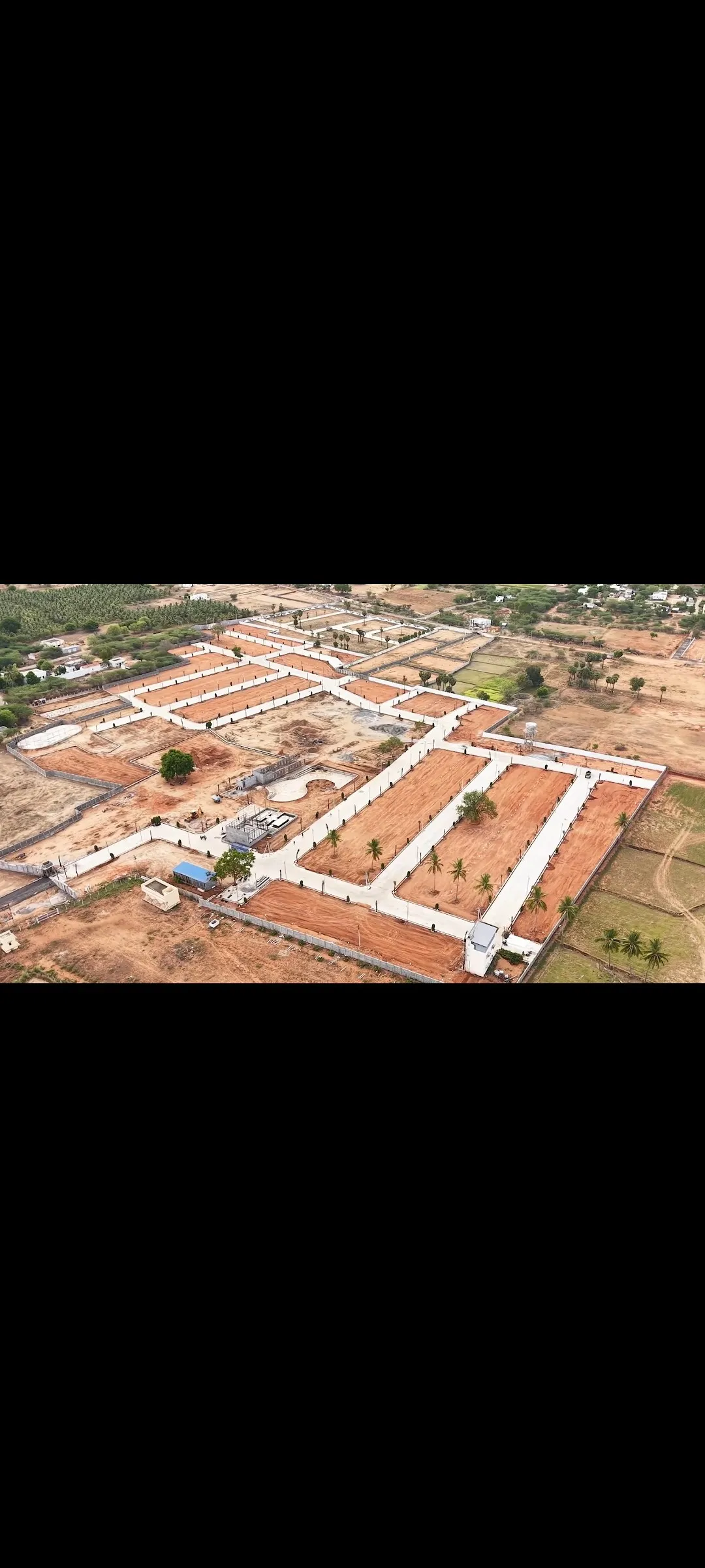 Mango villa