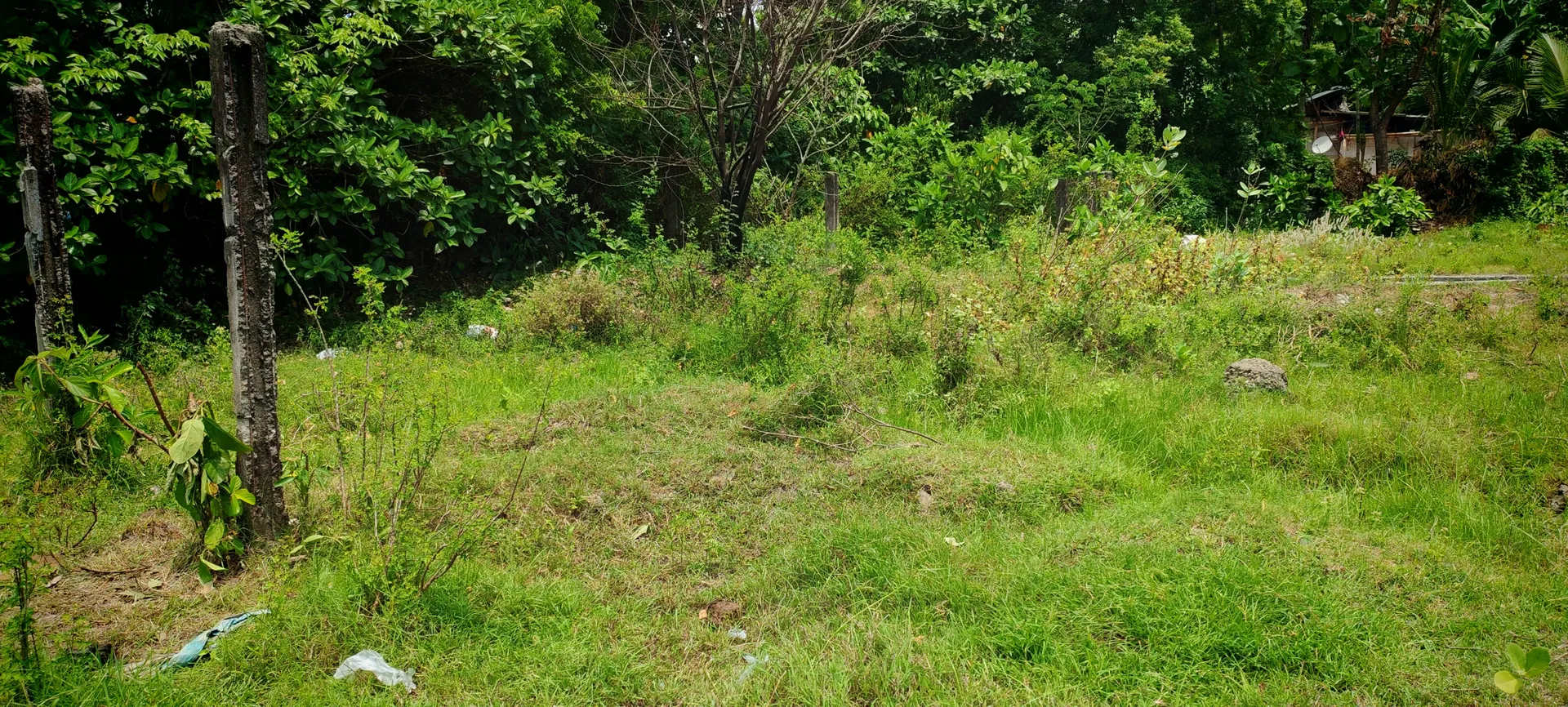 Empty Flat Land