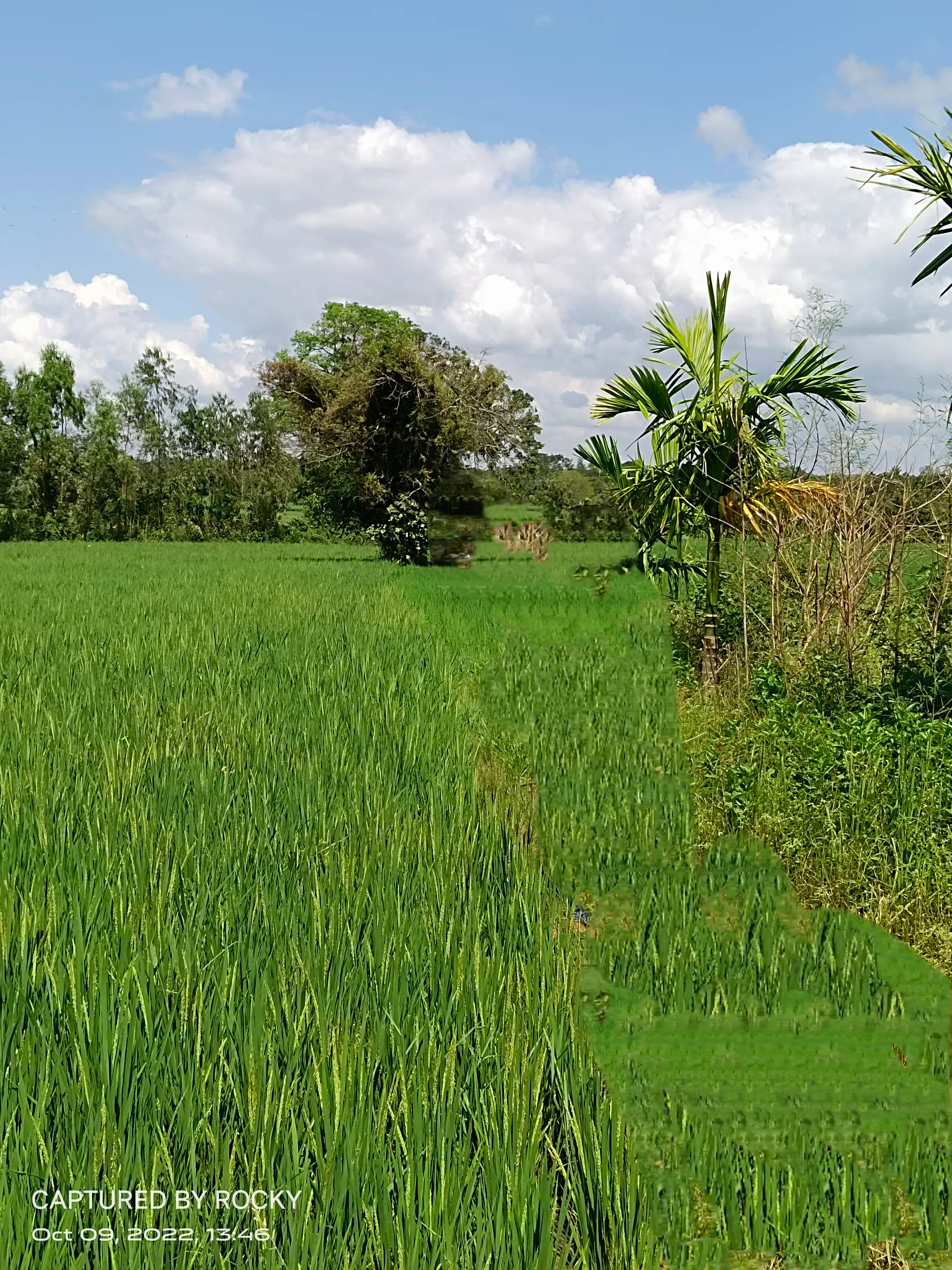 Agriculture Land 3