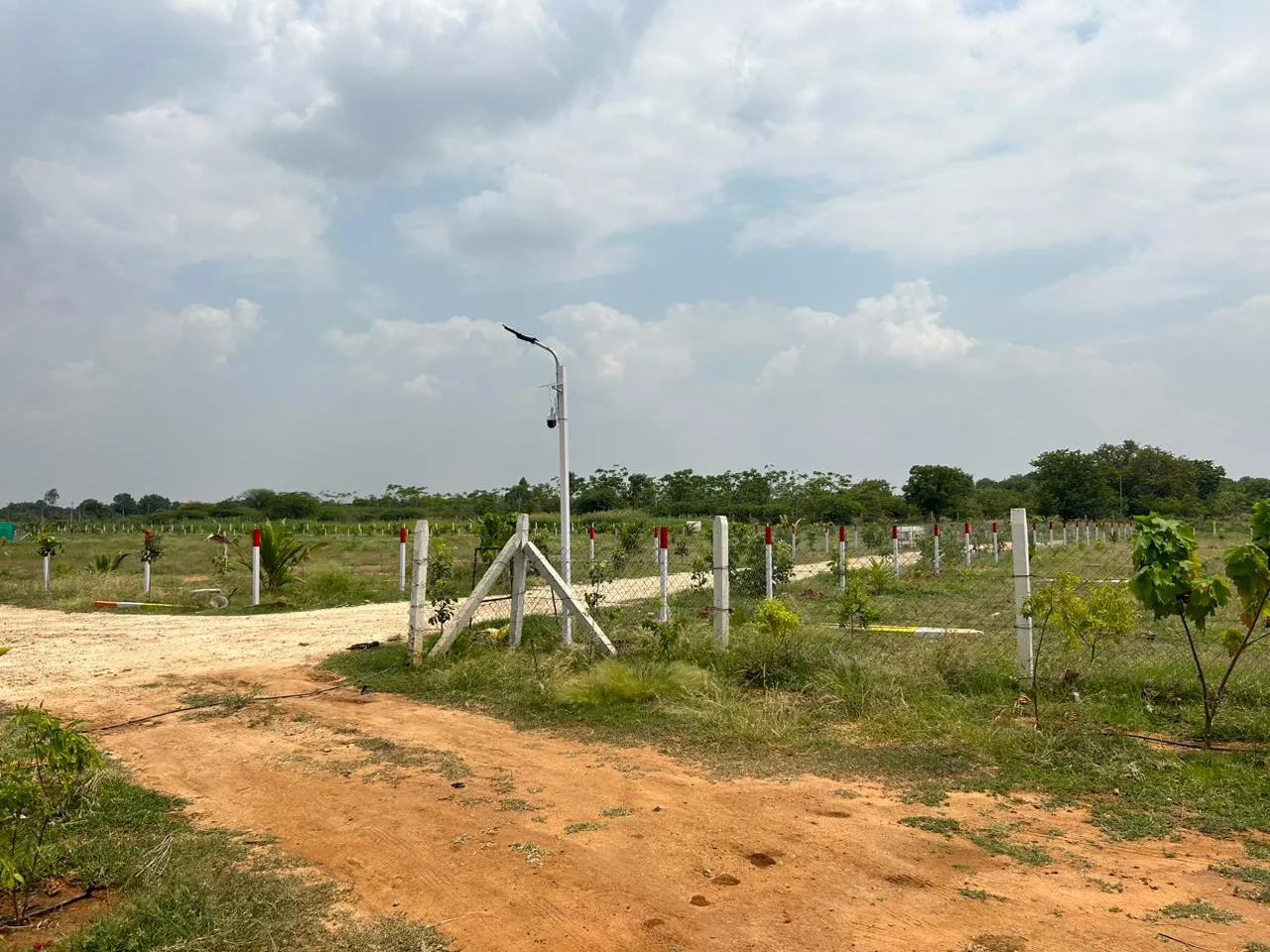 Isiri farmland 3