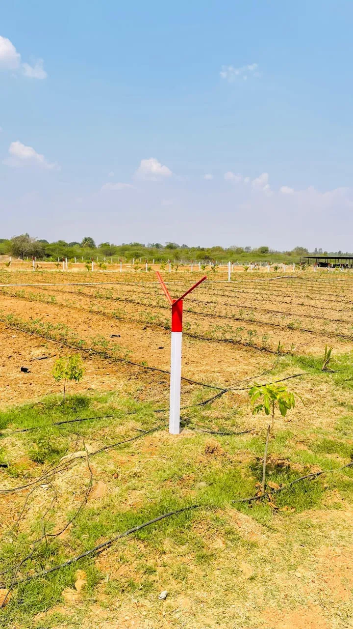 Isiri farmland only on 92sqft 3