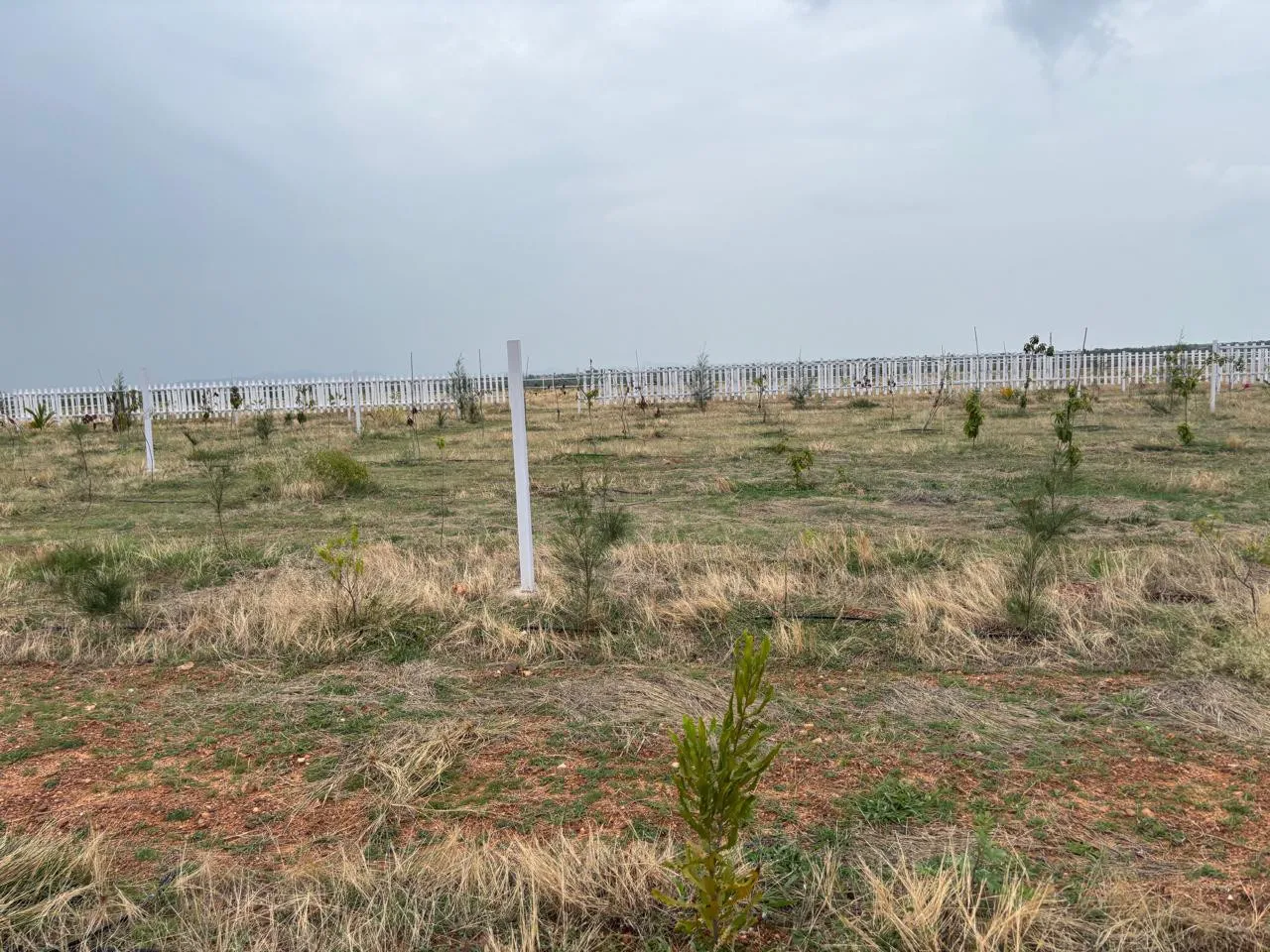 isiri managed farmland 2