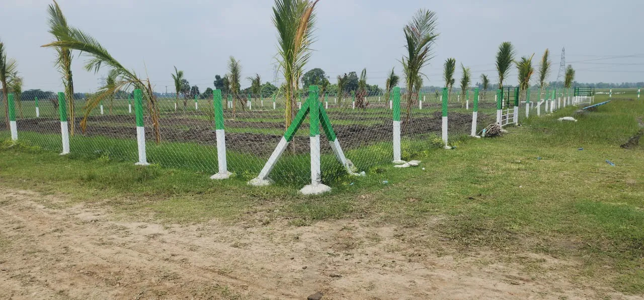 FARM LANDS WITH 40 FRUIT TREES