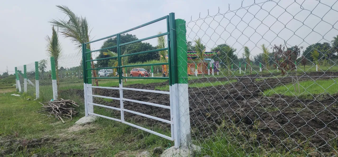 FARM LANDS WITH 40 FRUIT TREES 2