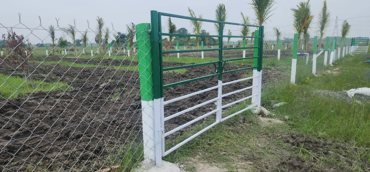 FARM LANDS WITH 40 FRUIT TREES 3