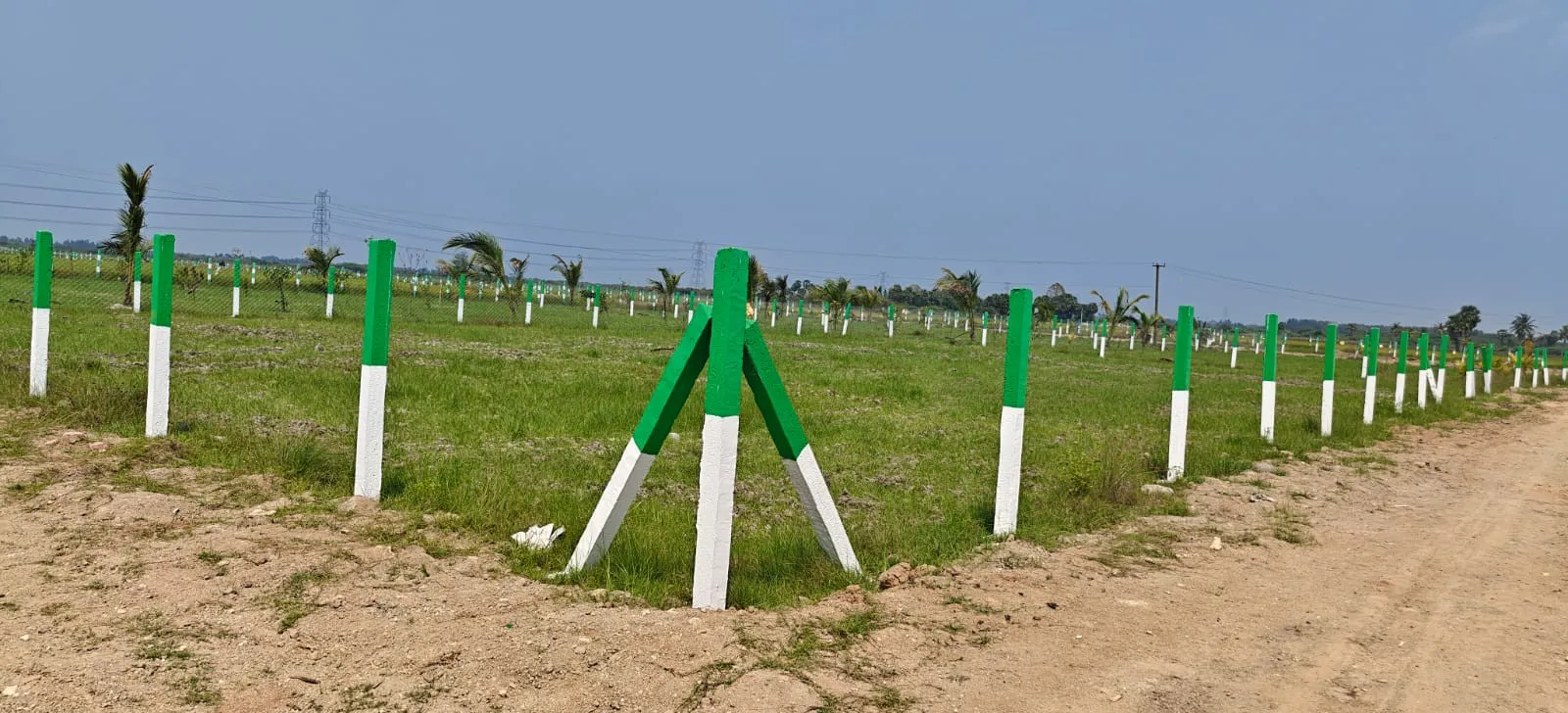 FARM LANDS WITH 40 FRUIT TREES