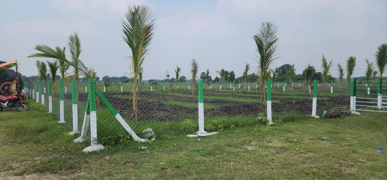 FARM LANDS WITH 40 FRUIT TREES