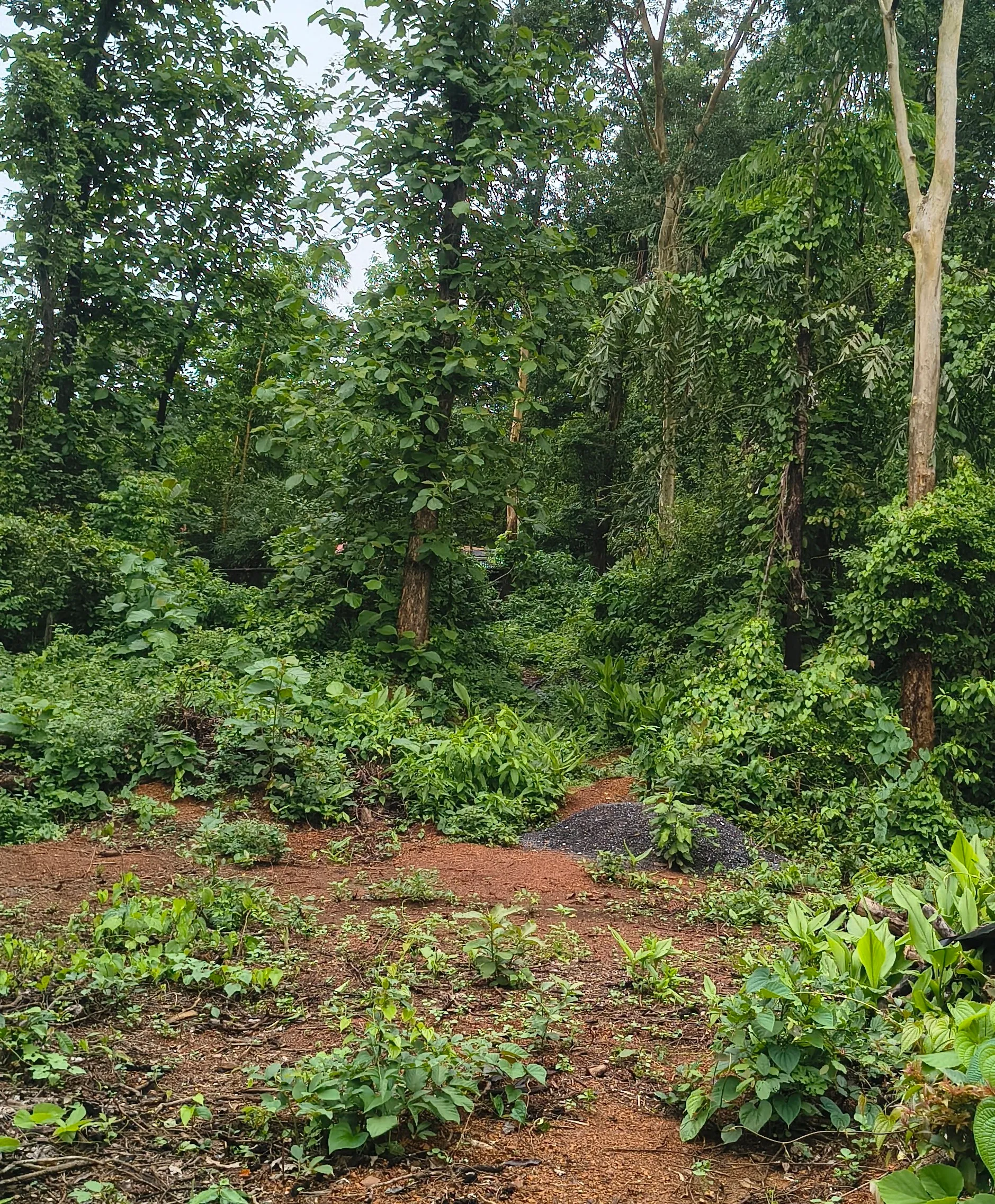Settlement plot for sale Pernem Goa