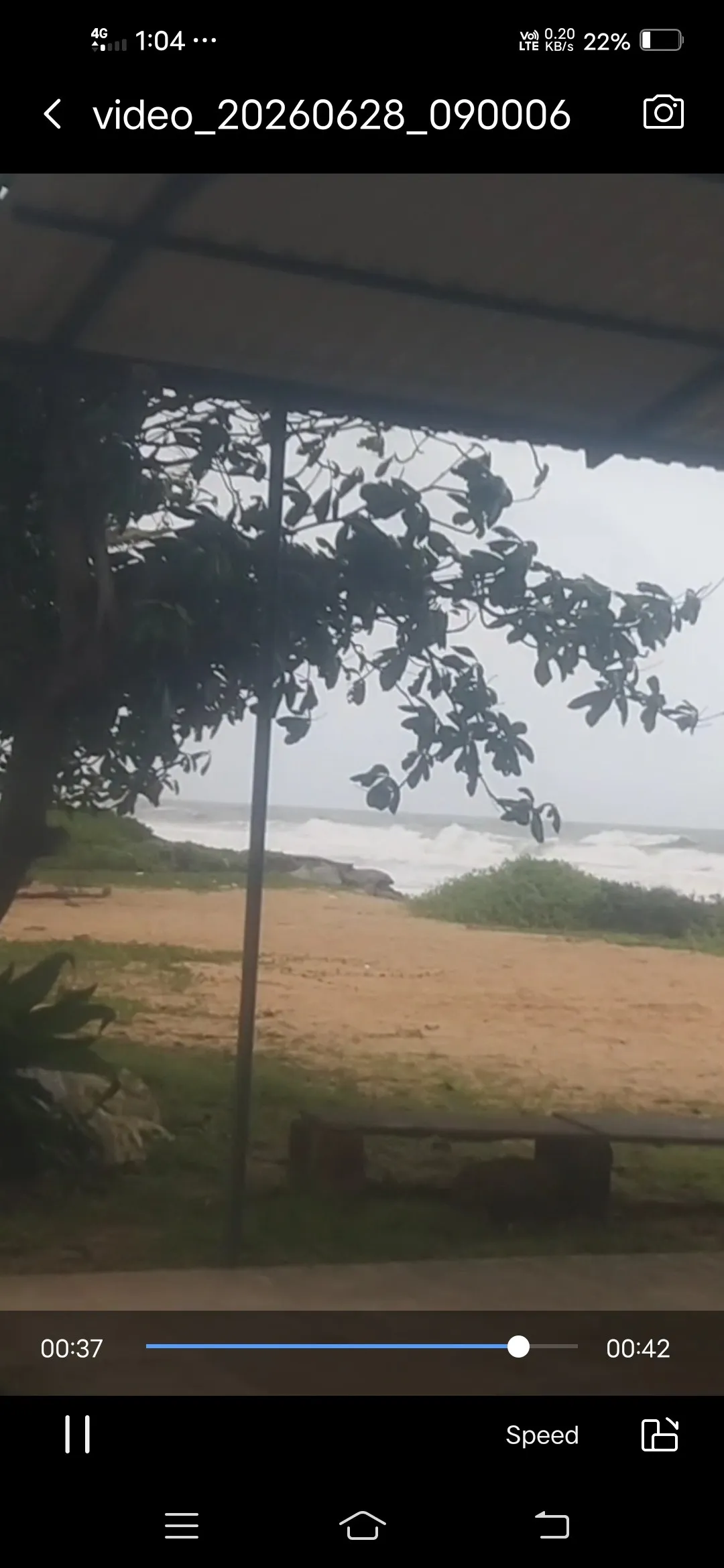 Beech property