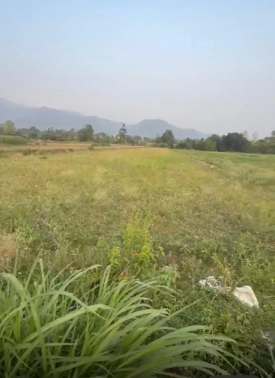 3 Bigha land kotabagh Nainital 2