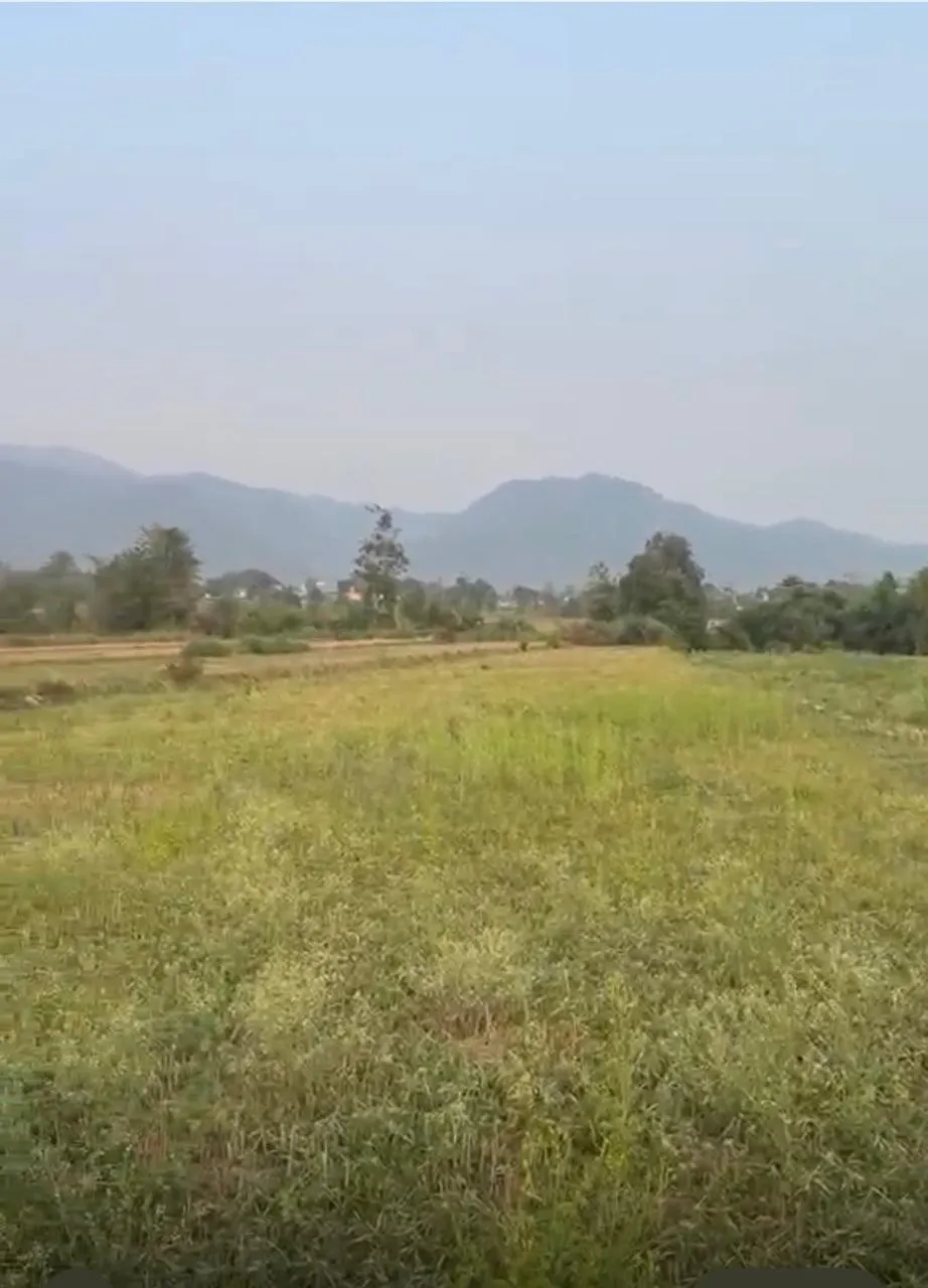 3 Bigha land kotabagh Nainital 3