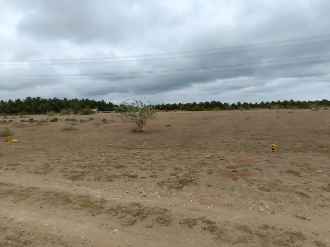 low budget SITE farm land 2