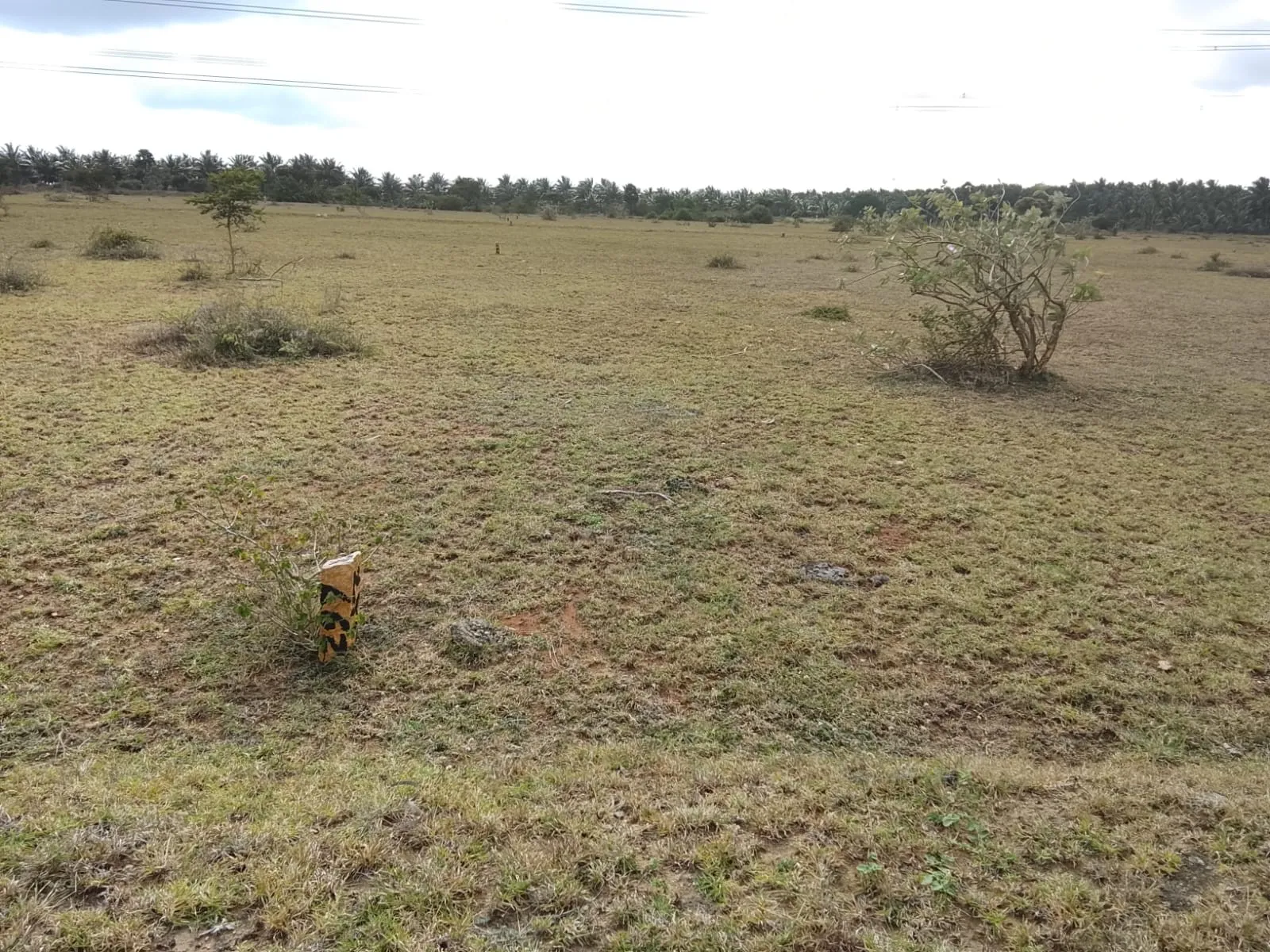 low budget SITE farm land 3