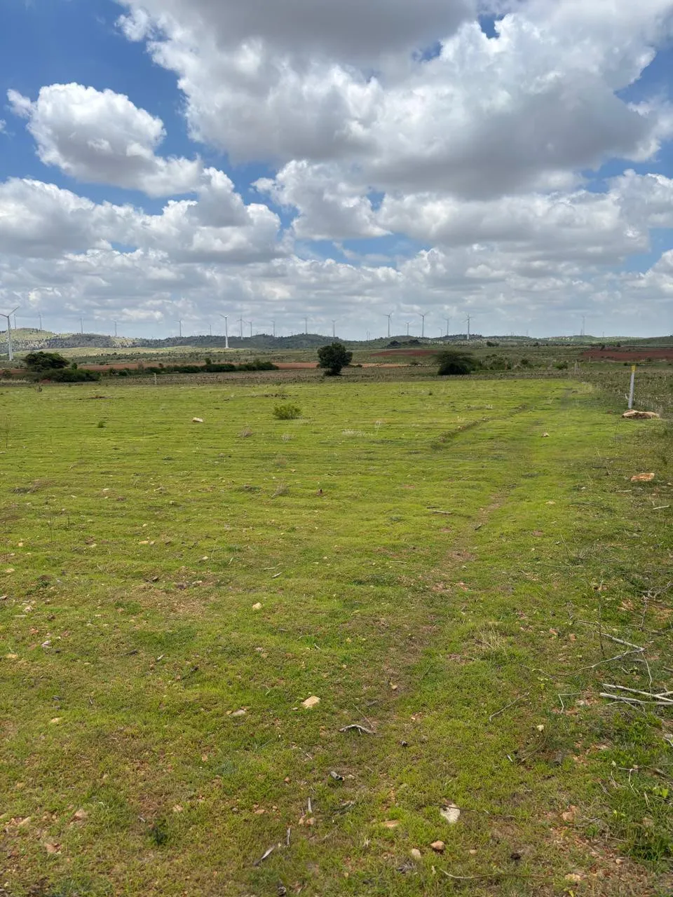 Isiri windmills 3