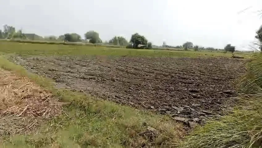 12 Acre land available in west location you will do 3 crop in a year Earn more 2