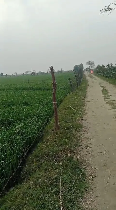 20 acre land in cheapest price 2