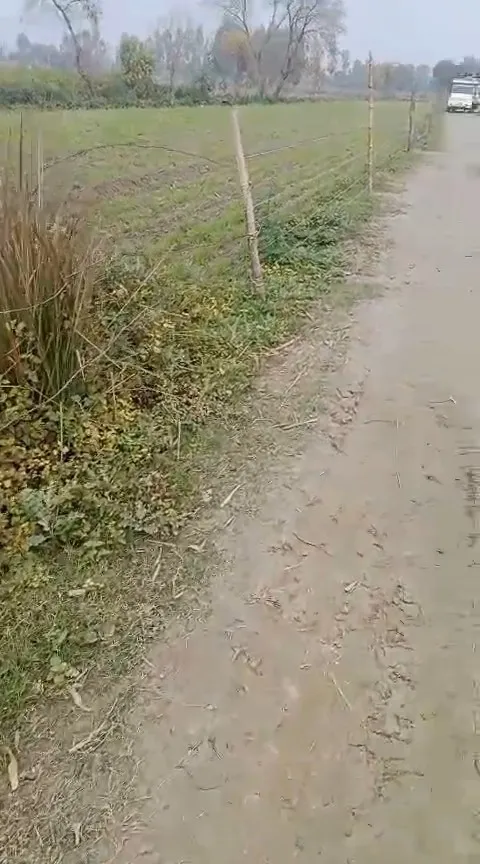 20 acre land in cheapest price 3